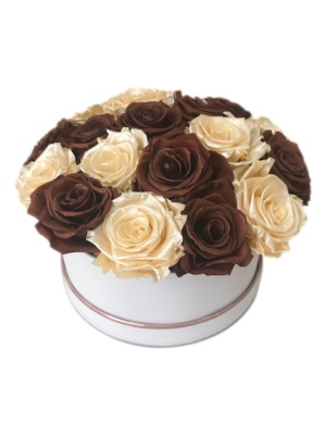 Latte & Pearl Champagne Eternity Rose Pattern Bouquet in a Medium Round Box