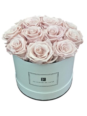 Blush Rose Flowers That Last a Year in a Small Round Gift Box