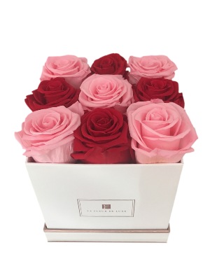 Red & Pink Roses That Last a Year in a Small Square Box