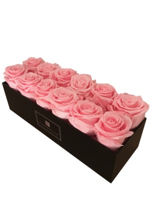 Roses That Last a Year in a Small Acrylic Black Box