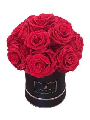 Dome-Shaped Red Long Lasting Rose Bouquet in X-Small Round Black Box