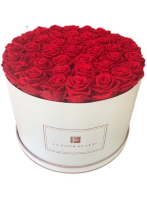 Red Long Lasting Rose Arrangement in a X-Large Round Box