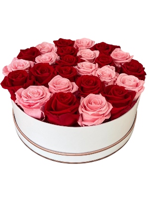 Pattern Roses That Last a Year in a Large Tabletop Round Box