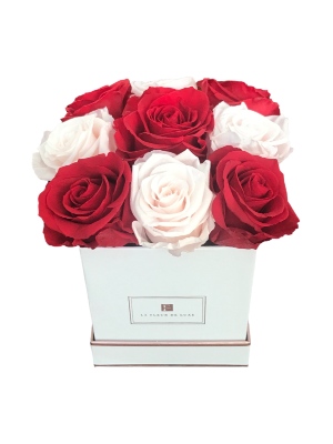 Red & White Long Lasting Rose Arrangement in a X-Small Square Box