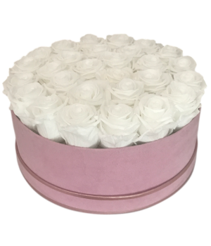 White Roses in a Round Pink Box