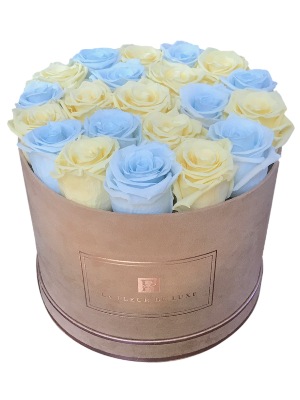 Pattern Yellow and Light Blue Roses That Last a Year in a Suede Round Beige Box