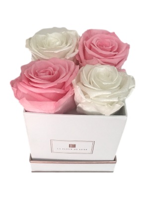 X-Small White Square Box with Pink & White Luxury Lasting Roses